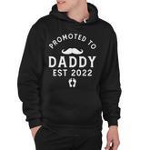 Promoted To Daddy Est 2022 Funny Dad Pregnancy Announcement Hoodie