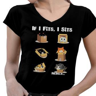 If I Fits I Sits Funny Cat Novelty Women V-Neck T-Shirt | Mazezy