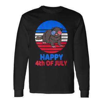 Ferret 4Th Of July For Ferret Lover July 4Th Ferret Mom Dad Long Sleeve T-Shirt - Seseable