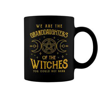 We Are The Granddaughters Of The Witches You Could Not Burn 211 Shirt Coffee Mug | Favorety