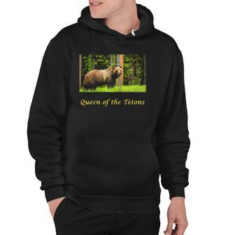 399 Queen Of The Tetons Grizzly Bear Raglan Baseball Tee Hoodie | Mazezy