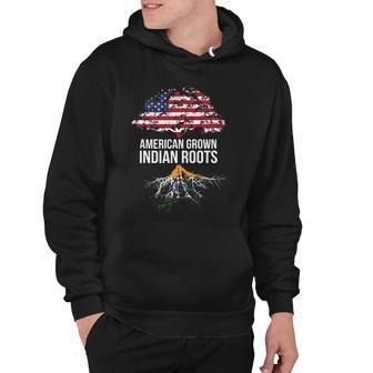 American Grown With Indian Roots - India Tee Hoodie | Mazezy
