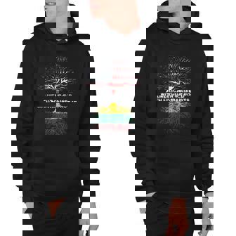 American Raised With Lithuanian Roots Lithuania Hoodie | Mazezy