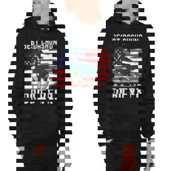 Best Dachshund Dad Ever American Flag 4Th Of July Weiner Dog Hoodie - Seseable