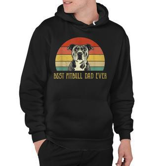 Best Pitbull Dad Ever Pitbull Dog Lovers Fathers Day Hoodie - Seseable