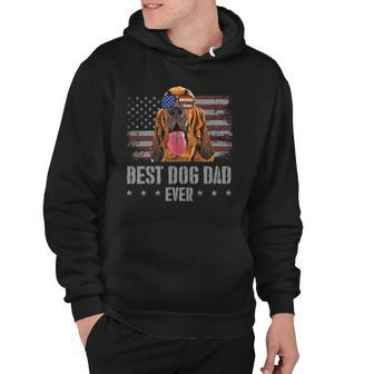 Bloodhound Best Dog Dad Ever Retro Usa American Flag Hoodie | Mazezy