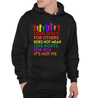 Equal Rights For Others Does Not Mean Equality Tee Pie Hoodie | Mazezy