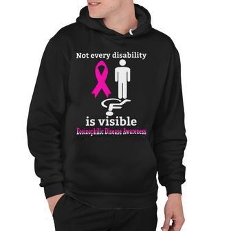 Every Disability Is Visible Eosinophilic Disease Awareness Pink Ribbon Eosinophilic Disease Eosinophilic Disease Awareness Hoodie | Favorety UK