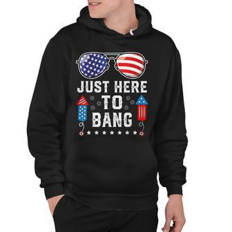 Fourth Of July 4Th Of July Fireworks Just Here To Bang Hoodie - Seseable
