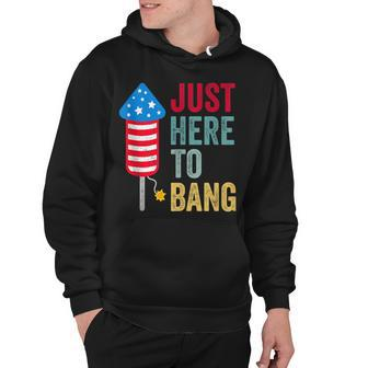 Fourth Of July 4Th Of July Funny Im Just Here To Bang Hoodie - Seseable