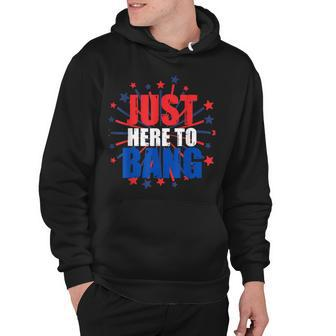 Funny 4Th Of July Just Here To Bang Novelty Hoodie - Seseable