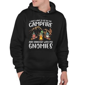 Funny Camping Gnome Hangout With My Gnomies Campfire Hoodie | Mazezy