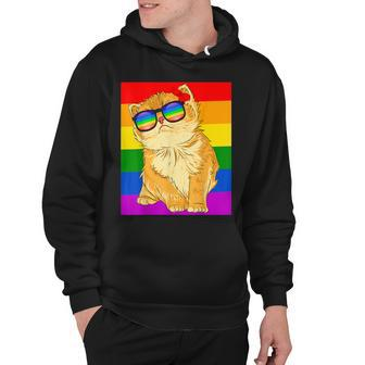 Funny Cat Lgbt Gay Rainbow Pride Flag Boys Men Girls Women  Hoodie