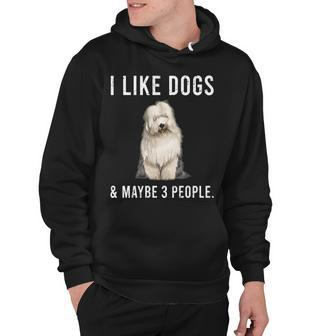 Funny I Like Old English Sheepdog Dogs And Maybe 3 People   V2 Hoodie