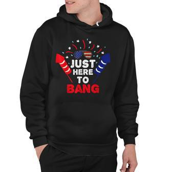 Funny Patriotic Im Just Here To Bang 4Th Of July Fireworks Hoodie - Seseable