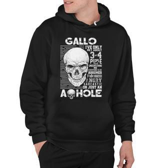 Gallo Name Gift Gallo Ive Only Met About 3 Or 4 People Hoodie - Seseable