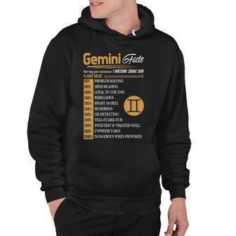 Gemini Zodiac Gemini Facts Birthday Hoodie - Seseable