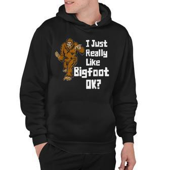 I Just Really Like Bigfoot Ok Funny Graphic Bigfoot Hoodie - Thegiftio UK