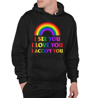 I See I Love You I Accept You - Lgbtq Ally Gay Pride Hoodie - Seseable
