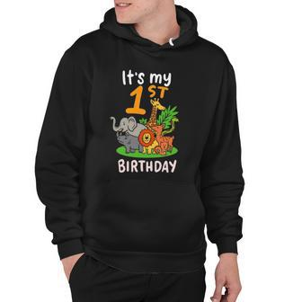 Its My 1St Birthday Funny First Birthday Zoo Lover Apparel Hoodie | Mazezy