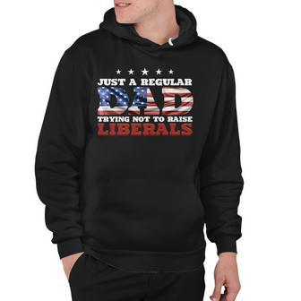 Just A Regular Dad Trying Not To Raise Liberals 4Th Of July Hoodie - Seseable