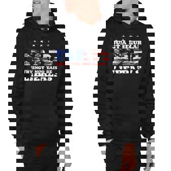 Just A Regular Dad Trying Not To Raise Liberals 4Th Of July Hoodie - Seseable