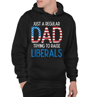 Just A Regular Dad Trying To Raise Liberals 4Th Of July Hoodie - Seseable