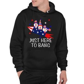 Just Here To Bang Happy 4Th Of July Cute Gnomes America Hoodie - Seseable