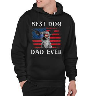 Mens Best Dog Dad Ever Chihuahua American Flag 4Th Of July Hoodie - Seseable