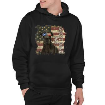 Retro Best Great Dane Dad Ever American Flag 4Th Of July V2 Hoodie - Seseable