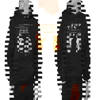 Trump Administration Maga Donald Trump Hoodie | Mazezy