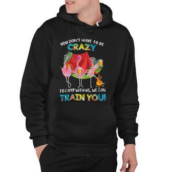 You Dont Have To Be Crazy To Camp Flamingo Beer Camping T Shirt Hoodie - Monsterry CA