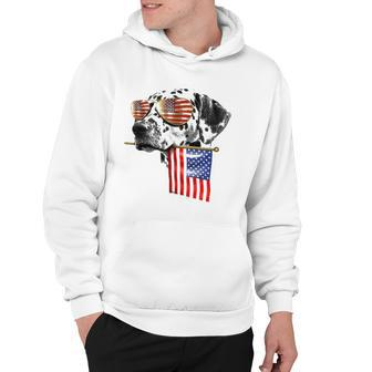 4Th Of July Fun American Flag Dalmatian Dog Lover Gift Hoodie | Mazezy