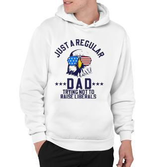 Just A Regular Dad Trying Not To Raise Liberals Funny Gift Hoodie | Mazezy