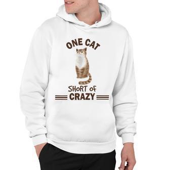 One Cat Short Of Crazy Hoodie | Favorety UK