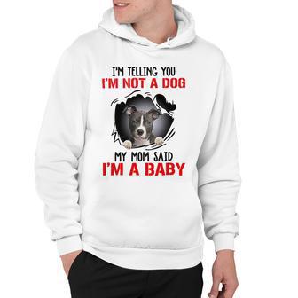 Pitbull Im Telling You Im Not A Dog 789 Shirt Hoodie | Favorety