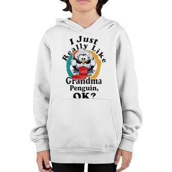 I Really Like Grandma Penguin Ok Youth Hoodie | Favorety AU