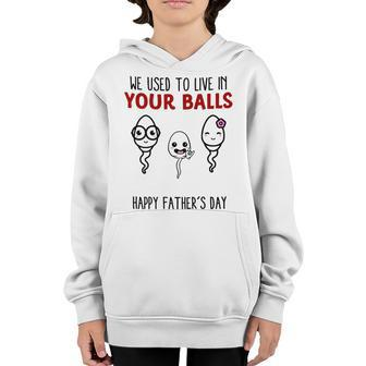 We Used To Live In Your Balls Happy Fathers Day Funny Youth Hoodie - Seseable