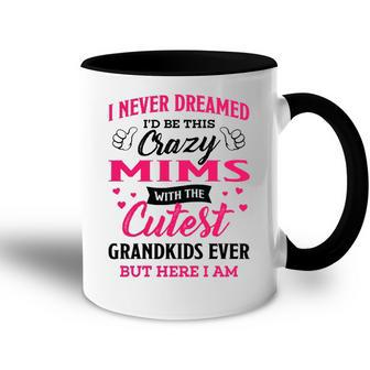 Mims Grandma Gift I Never Dreamed I’D Be This Crazy Mims Accent Mug - Seseable