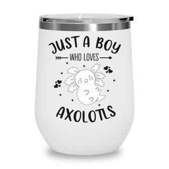 Funny Axolotl Quote Mexican Walking Fish Just A Boy Who Loves Axolotls Wine Tumbler | Favorety CA