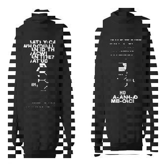 Acid With An Attitude A-Mean-Oh Acid Science Joke Sweatshirt | Mazezy