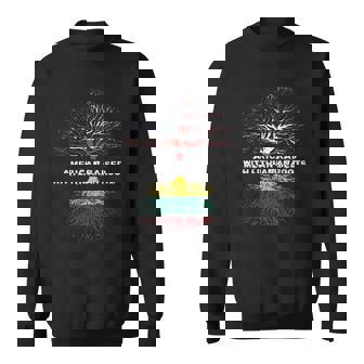 American Raised With Lithuanian Roots Lithuania Sweatshirt | Mazezy