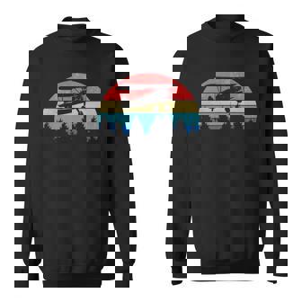 Aviator Pilot Vintage Bi-Plane Airplane Sweatshirt | Mazezy