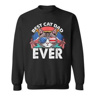Best Cat Dad Ever Matching Fathers Day 4Th Of July Cat Lover Sweatshirt - Seseable