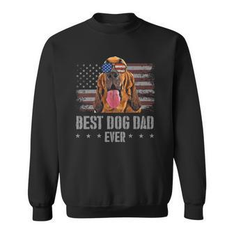 Bloodhound Best Dog Dad Ever Retro Usa American Flag Sweatshirt | Mazezy