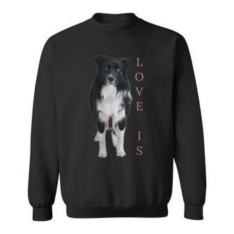 Border Collie Women Men Kids Love Dog Mom Dad Pet Sweatshirt - Seseable