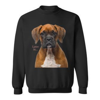 Boxer Dog Dog Mom Dad Love Is Puppy Pet Women Men Kids Sweatshirt - Seseable