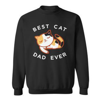 Calico Cat Dad Best Kitty Father Ever Tee Gift Sweatshirt | Mazezy