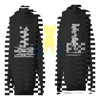 Cat Deadlift Powerlifting T Gym Lifting Weights Sweatshirt - Thegiftio