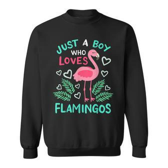 Flamingo Just A Boy Who Loves Flamingos Sweatshirt - Thegiftio UK